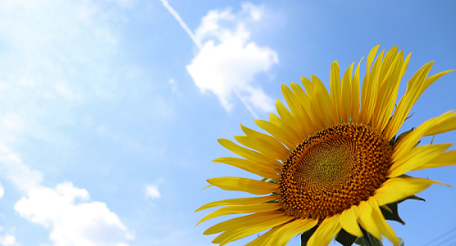 市川町のイメージ画像